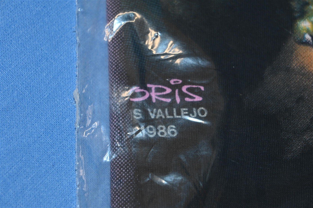 80s Boris Vallejo Primeval Princess Packaged t-shirt Medium product image 3