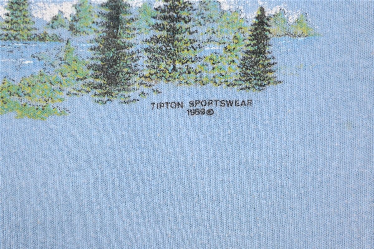 80s Pocono Mountains Bald Eagle Rib Knit t-shirt Medium product image 3