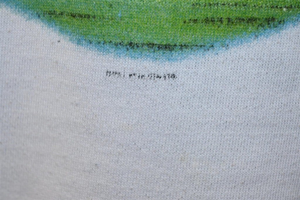 80s Led Zeppelin Swan Song Records Raglan Sweatshirt Medium product image 3