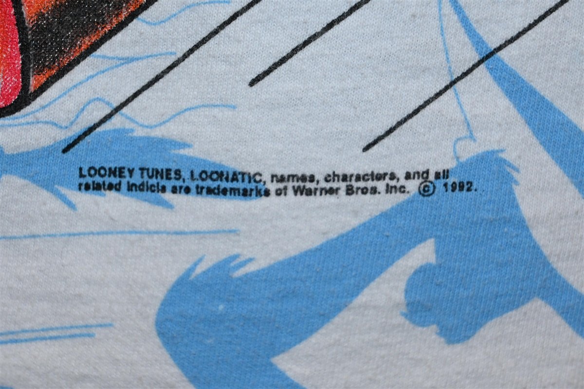 90s Wile E Coyote Looney Tunes All Over Print t-shirt Youth product image 3