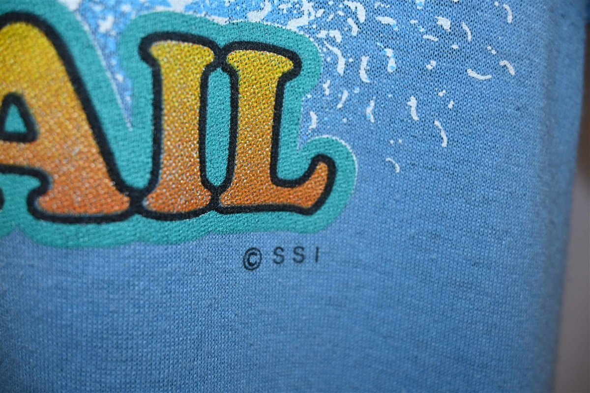 80s Outdoor Trail Bass Fishing Angler Blue t-shirt XXL product image 3